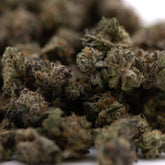 Peach Pie Indoor THCa Hemp Flower Small buds with trichomes and orange pistils